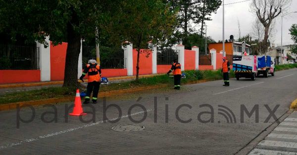 Habr&aacute; mil 500 recolectores en la ciudad de Puebla con chalecos y credenciales