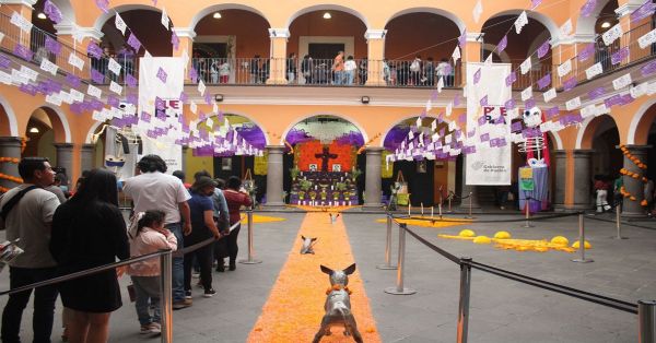 Recibe “Corredor de Ofrendas” este fin de semana más de 60 mil visitantes: Cultura