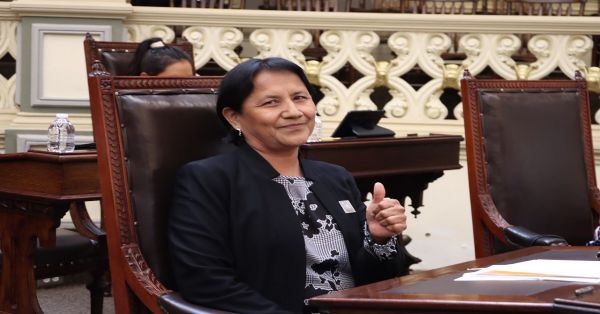 Proponen diputados Iniciativa a favor del bienestar animal