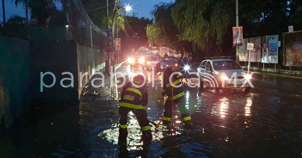 Caída de árboles y encharcamientos, principales afectaciones por lluvias recientes: Segob