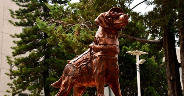 Homenajea Marina a la perrita rescatista Frida con una escultura