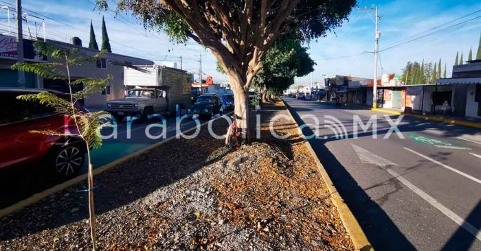 Obras de administraci&oacute;n panista tambi&eacute;n incluyen la colocaci&oacute;n de bolardos