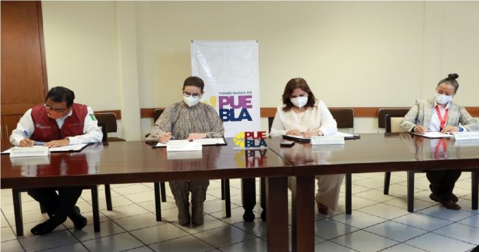 Fortalecen SEGOB y Medio Ambiente acciones a favor del bienestar animal