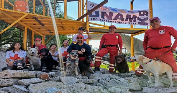 Reciben certificaci&oacute;n binomios caninos K9 de la Cruz Roja