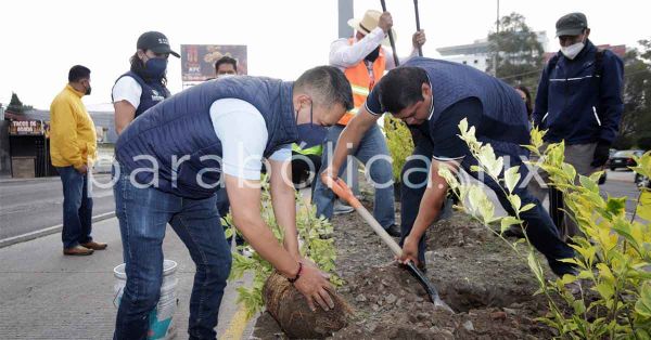 Se plantar&aacute;n m&aacute;s de 15 mil &aacute;rboles en San Andr&eacute;s Cholula: Tlatehui