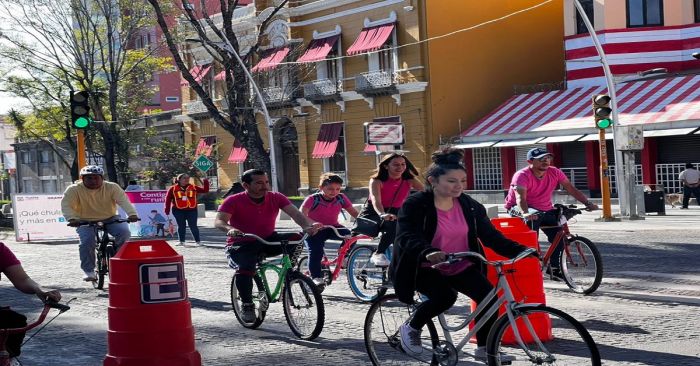 Se pinta de rosa el Gran Paseo, con motivo de la lucha contra el c&aacute;ncer de mama