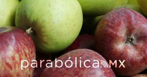 Impulsa SDR producción de manzana en Lafragua