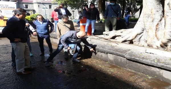 Retirar&aacute;n cinco &aacute;rboles en el Z&oacute;calo de Puebla, resultaron afectados por las lluvias