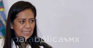 Que nadie minimice la mega marcha en favor de AMLO: Ariadna Ayala