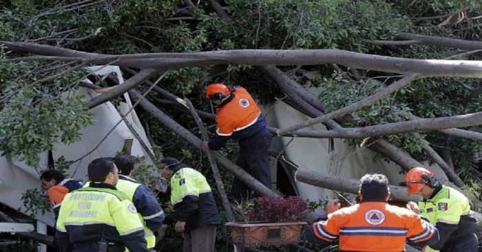 Derribo de &aacute;rboles solo es para simular que se est&aacute; trabajando y mitigar esc&aacute;ndalo: Leobardo Rodr&iacute;guez