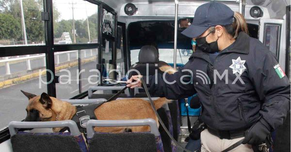 Despliega ayuntamiento tres mil 295 operativos en el transporte p&uacute;blico