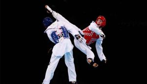 El Taekwondo, insignia poblana