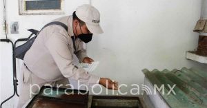 Van a la baja los registros de casos de dengue en Puebla: Salud