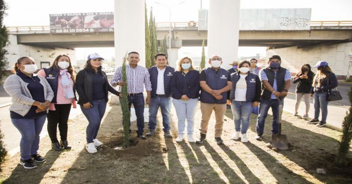 Realizan en San Andrés Cholula tercera etapa de reforestación en carretera federal Puebla-Atlixco