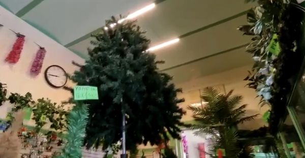 Llega la navidad a negocios del Centro Hist&oacute;rico