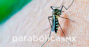 Suma Puebla 2 mil 500 contagios de dengue en 2023