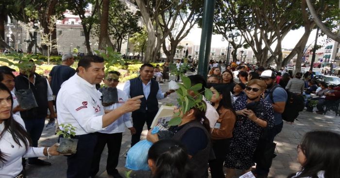 Entrega Armenta árboles en el Centro Histórico de Puebla