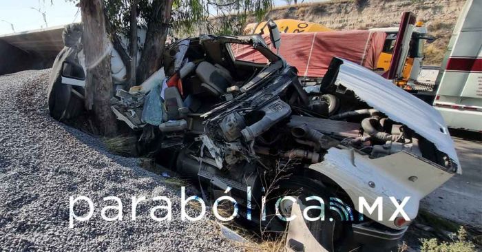 Choca con un árbol y casa kilómetrica hilera de tráfico en Periférico