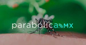 Suman 11 personas hospitalizadas por dengue en Puebla: Salud