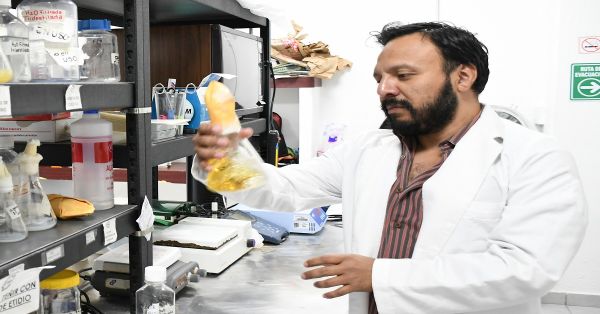 Colabora investigador BUAP en trabajo multigrupo para análisis sistemático de Escherichia coli