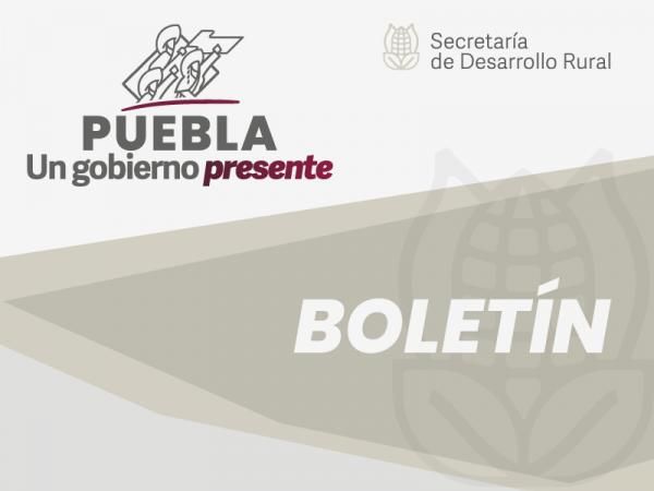 Convoca gobierno de Puebla a participar en “Campeonato de Mixología”