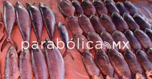 Convoca ayuntamiento a la Segunda Feria de la Cuaresma en el Mercado de Pescados y Mariscos