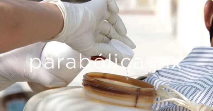 Acumula Puebla 718 casos de dengue