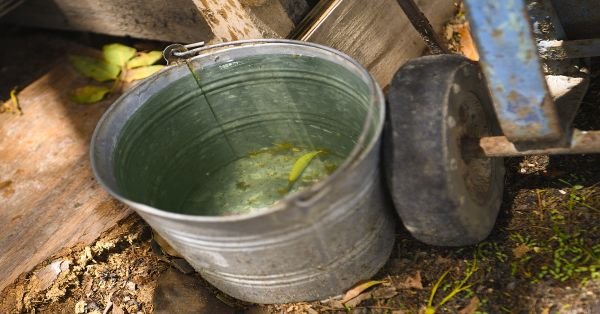 Descarta Salud defunciones por dengue en la entidad