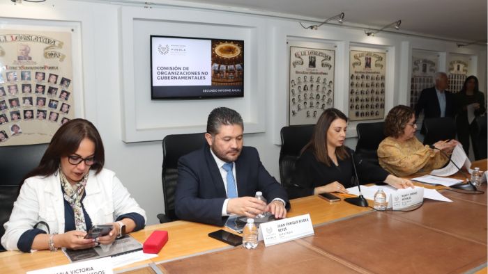 Presenta informe la Comisión de Organizaciones No Gubernamentales