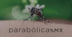 Suma Puebla 2 mil 029 casos de Dengue