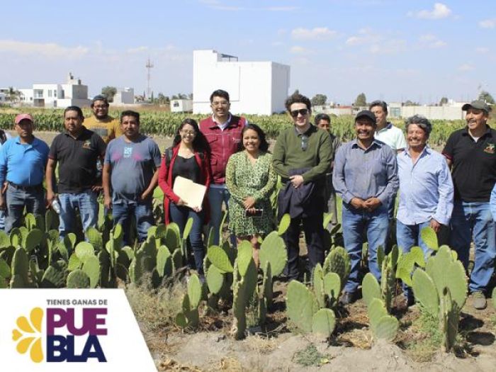 Impulsa gobierno estatal cooperativas agrícolas en San Andrés Cholula