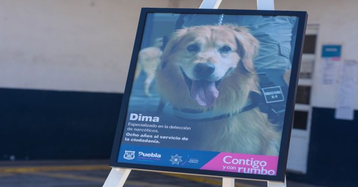 Rinden homenaje póstumo a Dima, canino del área de narcóticos