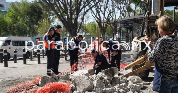 Atropellan a una persona frente a Ciudad Universitaria