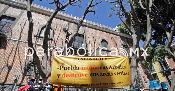 Protestan por tala excesiva de árboles en la Plaza de la Democracia