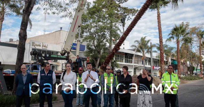 Presenta el ayuntamiento la segunda edición de programa de reforestación