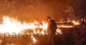 Activan alerta atmosférica en Guadalajara por incendio forestal