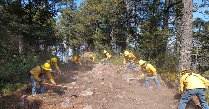 Apoya Medio Ambiente acciones preventivas contra incendios forestales