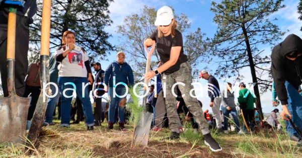 Siembra Gobierno de San Pedro Cholula 2 mil árboles en el Cerro Zapotecas