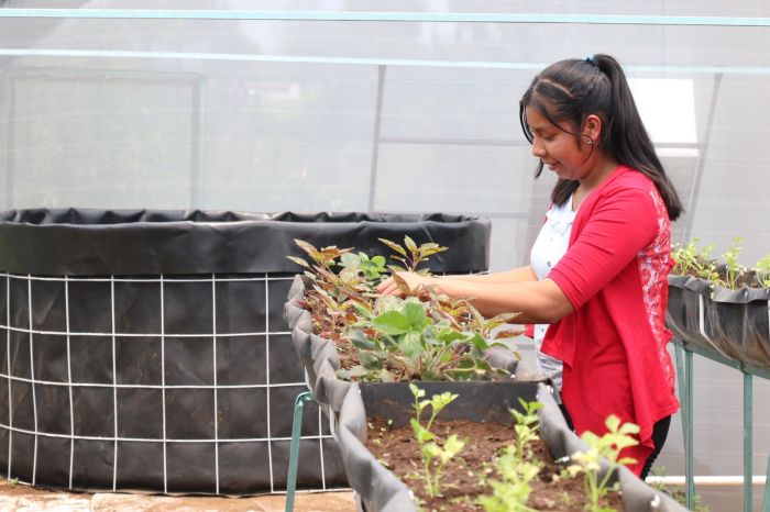 Promueve Bienestar soberanía alimentaria en Puebla