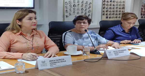 Informan Diputados avances sobre consulta en materia de movilidad y seguridad vial