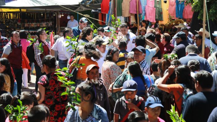 Entrega Armenta árboles de limón en Atempan