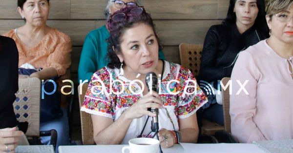 Exige Elisa Molina castigo a campañas onerosas en Morena