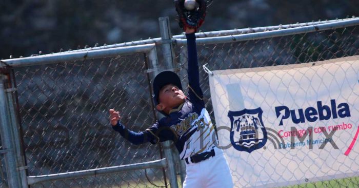 Finaliza torneo nacional de béisbol infantil en Puebla capital