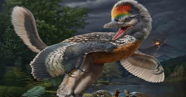 Hallan en China fósil de dinosaurio con alas