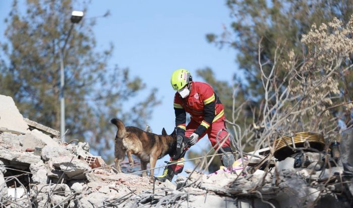 Con colecta anual, Cruz Roja certifica a héroes caninos: Delegada