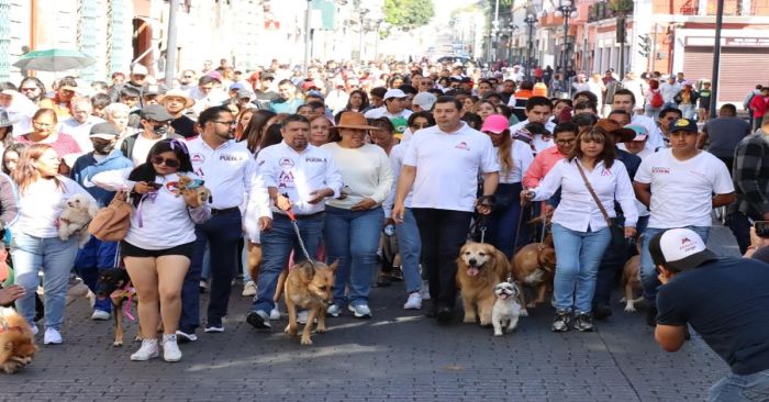 Fomenta Armenta acciones a favor de la vida animal