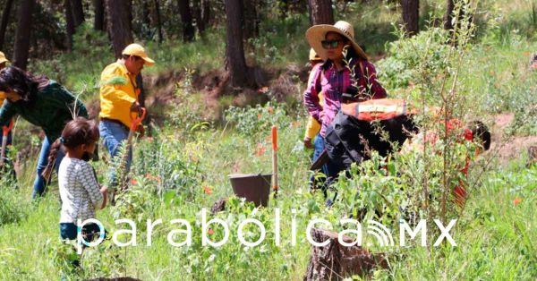 Se asume con firmeza la protección de los recursos naturales de Puebla: Medio Ambiente