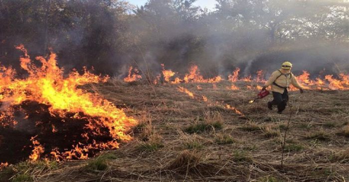 Continúa gobierno estatal trabajos para sofocar incendios forestales: SEGOB