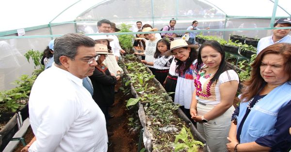 Promueve Bienestar soberanía alimentaria en Puebla