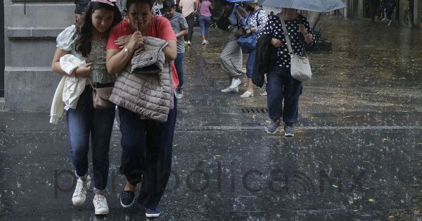 Reportan caída de árbol y encharcamientos en nueve colonias tras lluvias